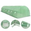 Greenhouse 290.6 ft¬≤ 354.3"x18.1"x78.7"